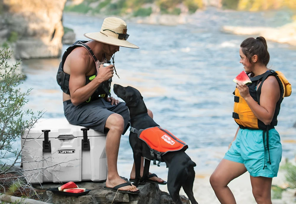 chest freezer cooler