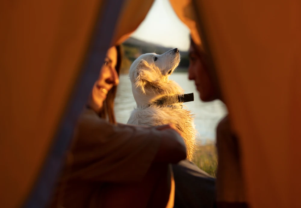 glamping teepee tent