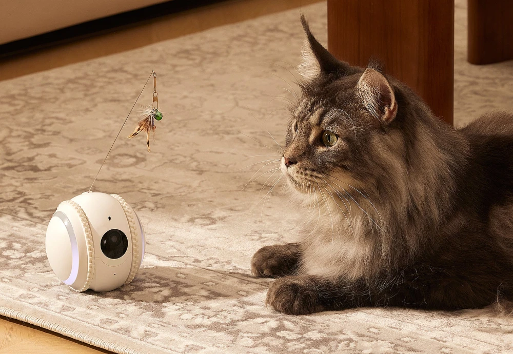 interactive pet camera