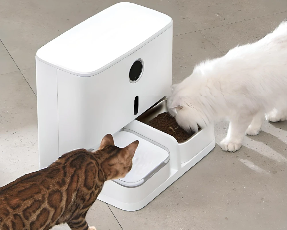 automatic dog feeding station