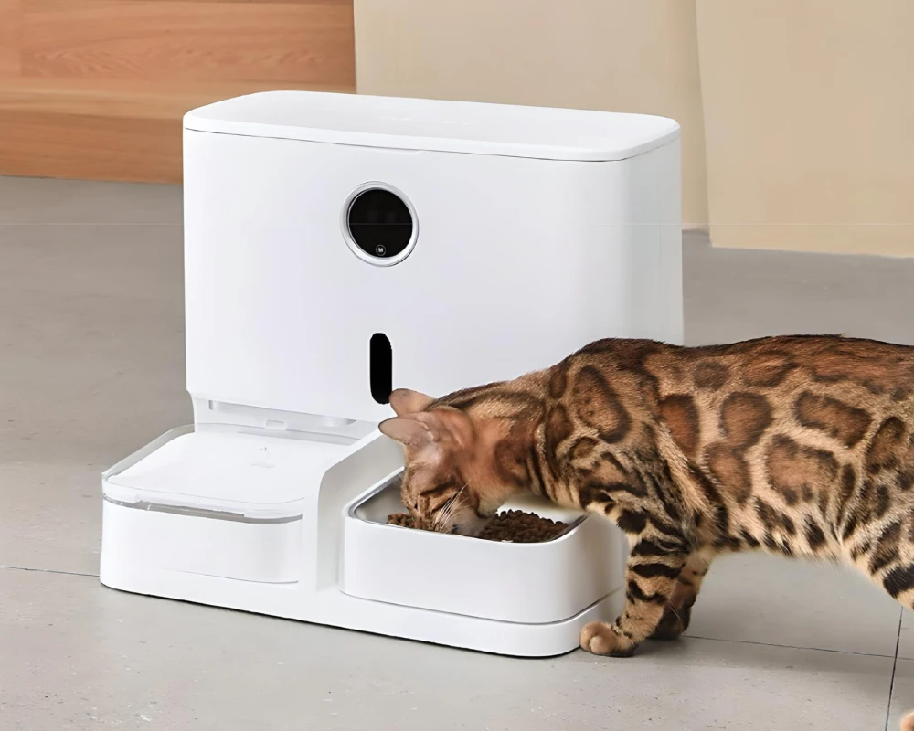 best automatic cat feeder with camera