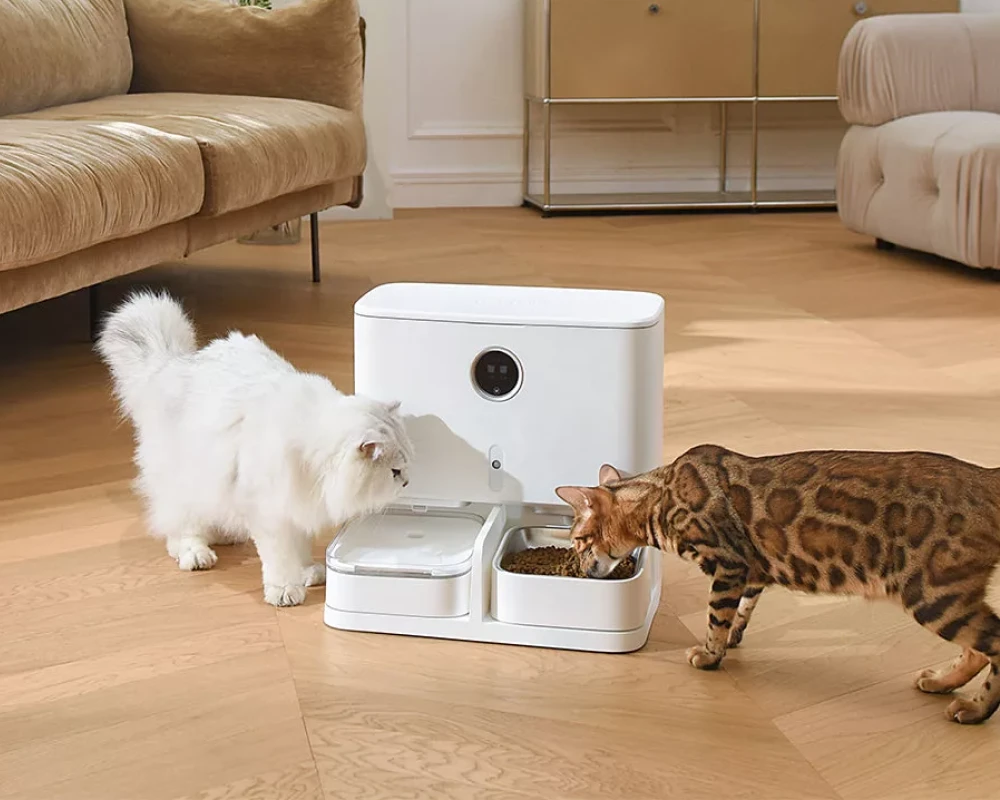 pet feeder with camera