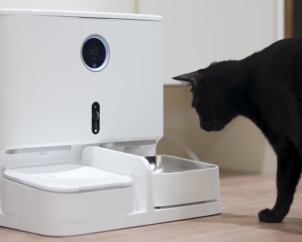 pet feeder with camera